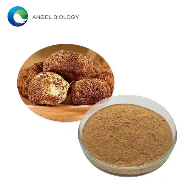 What is Lion's Mane Mushroom Extract Powder?